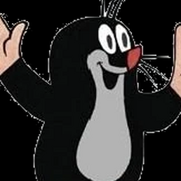 Ivvn