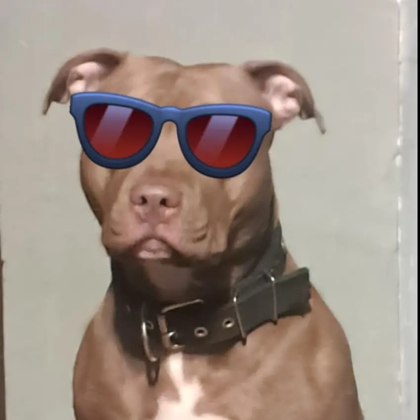 Bartosz