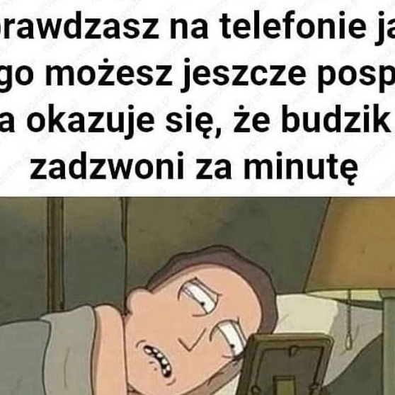 Siatka